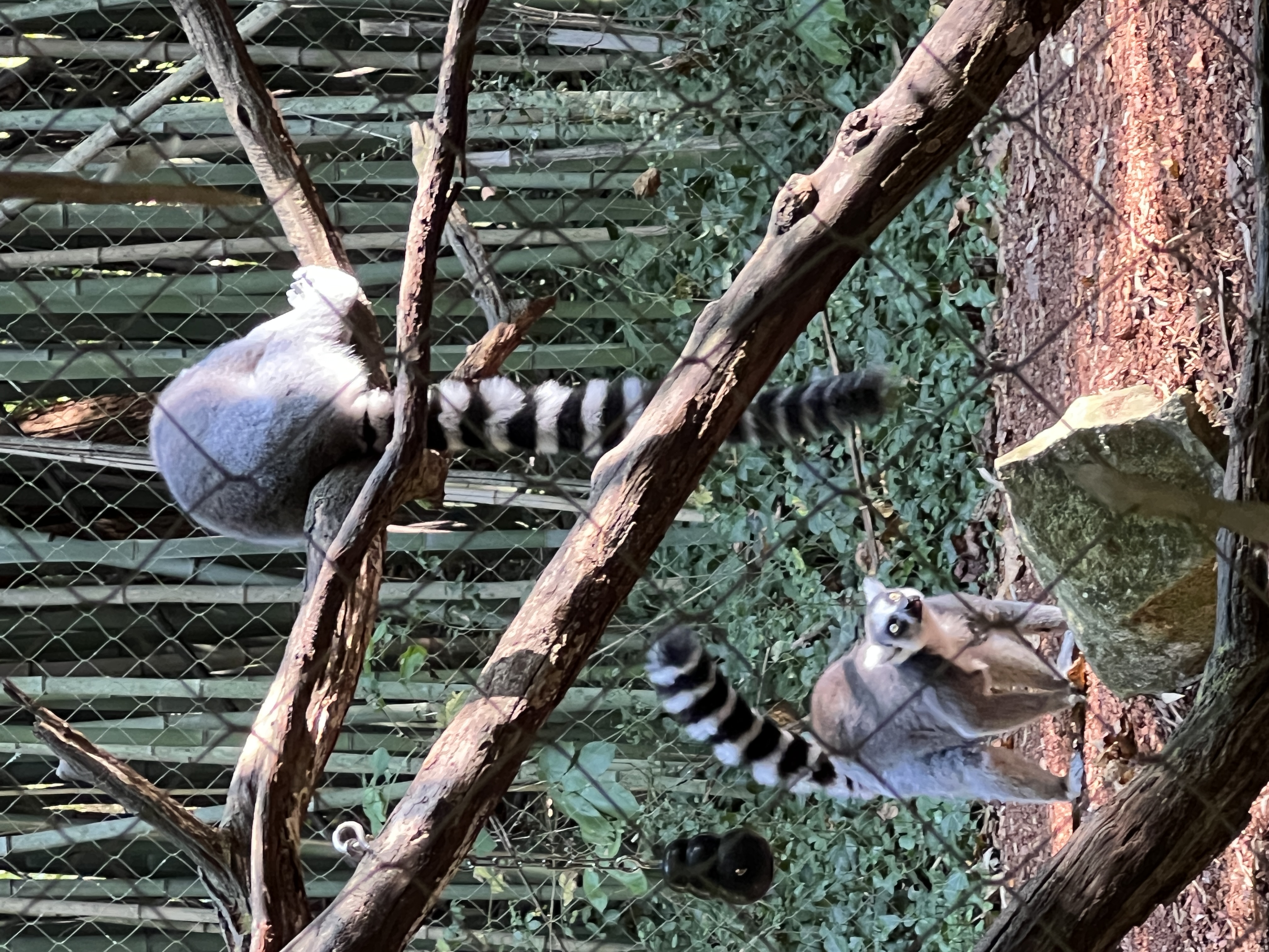 ./2025/11 - Nashville Trip/IMG_7193.JPG